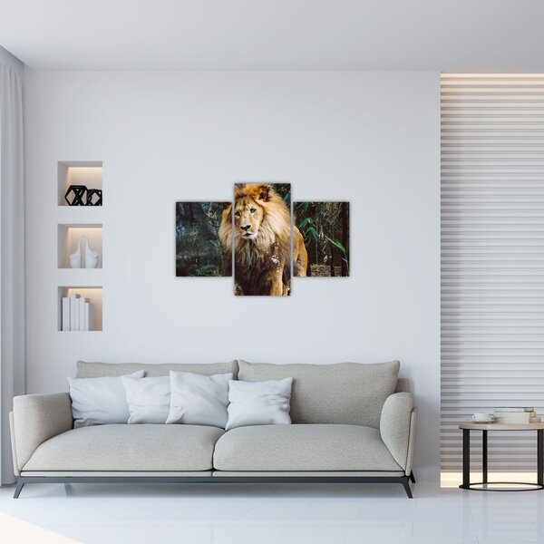 Slika lava u prirodi (90x60 cm)