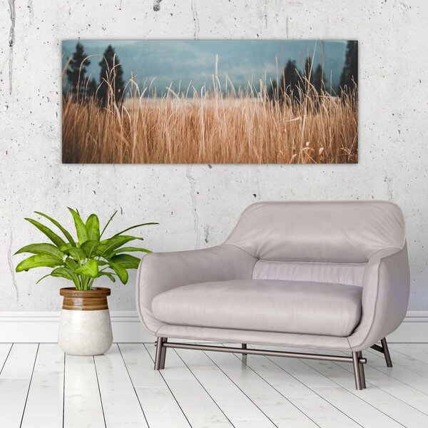 Slika - detalj livadskog bilja (120x50 cm)
