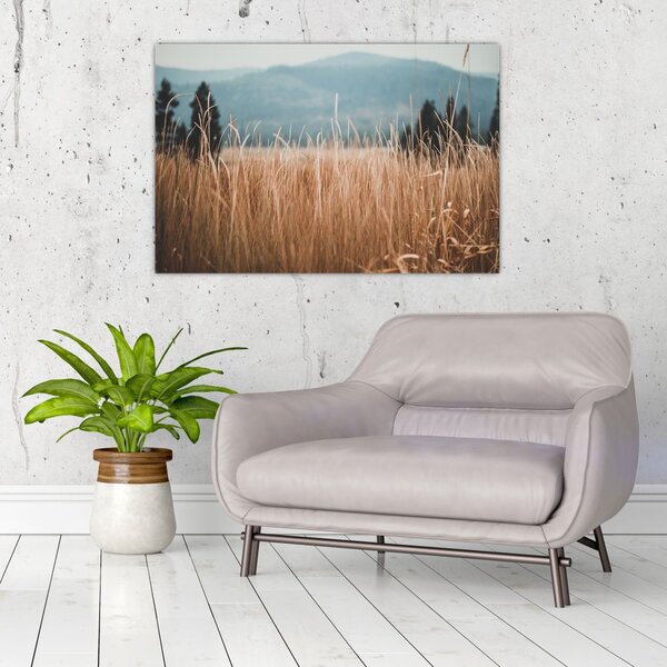Slika - detalj livadskog bilja (90x60 cm)