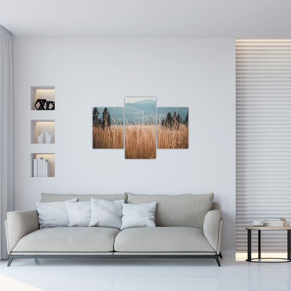Slika - detalj livadskog bilja (90x60 cm)