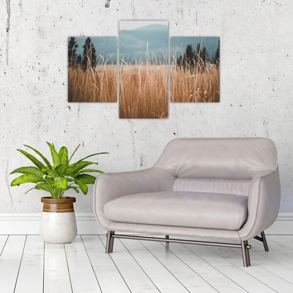 Slika - detalj livadskog bilja (90x60 cm)