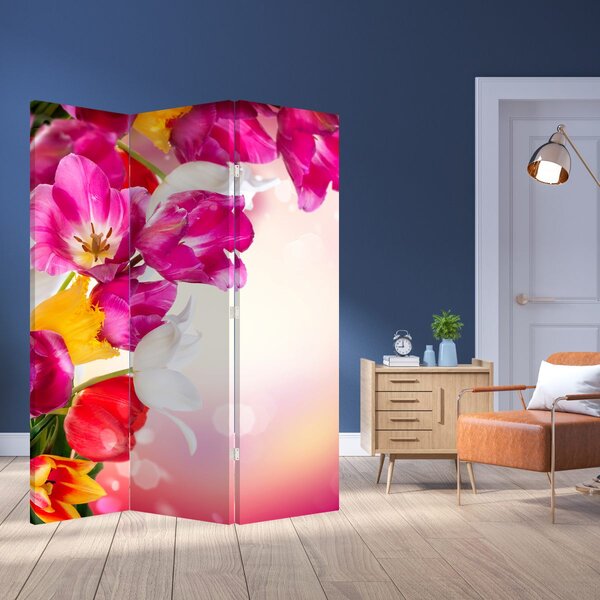 Paravan - Tulipani (126x170 cm)