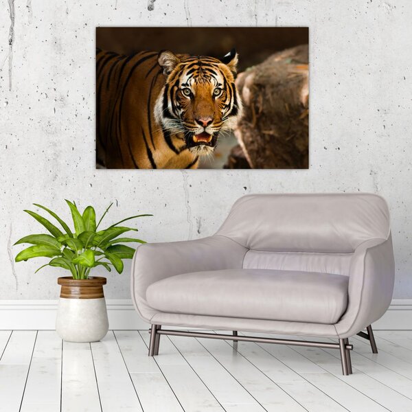 Slika tigra (90x60 cm)