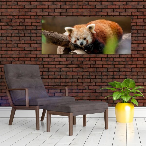 Slika crvene pande (120x50 cm)
