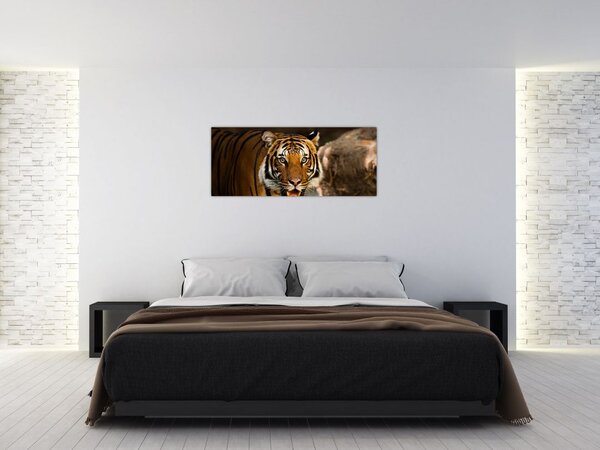 Slika tigra (120x50 cm)