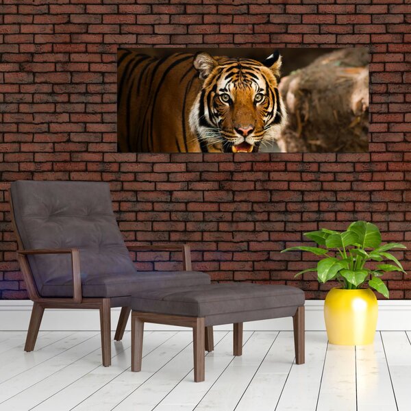 Slika tigra (120x50 cm)