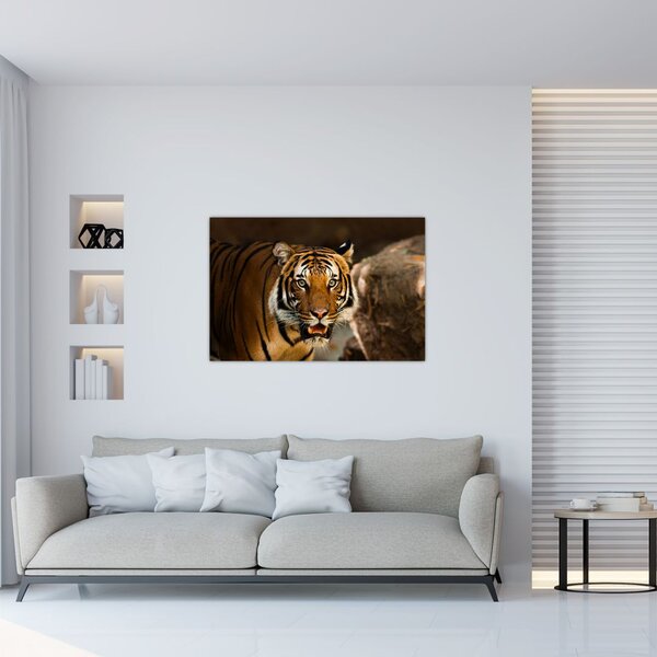 Slika tigra (90x60 cm)