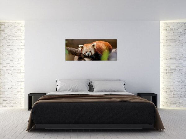 Slika crvene pande (120x50 cm)