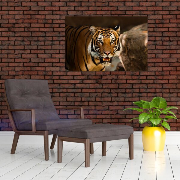 Slika tigra (90x60 cm)