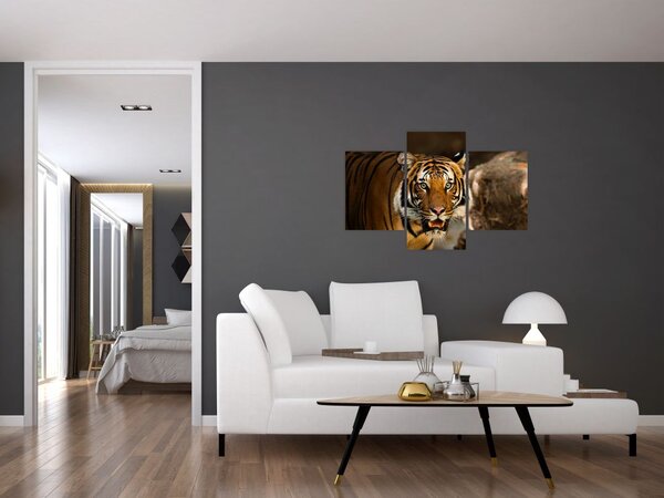 Slika tigra (90x60 cm)