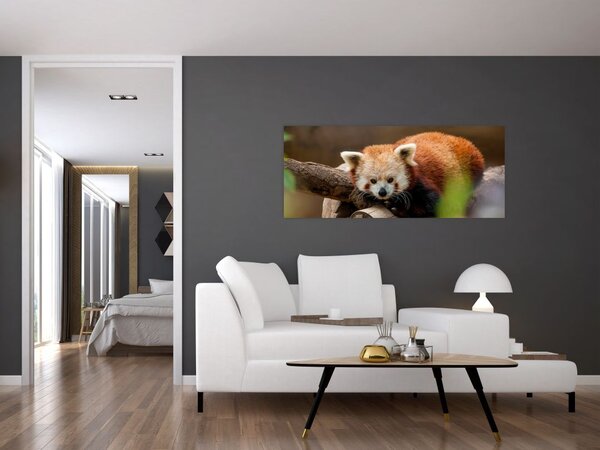 Slika crvene pande (120x50 cm)