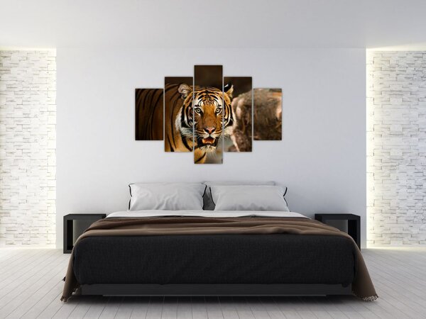 Slika tigra (150x105 cm)