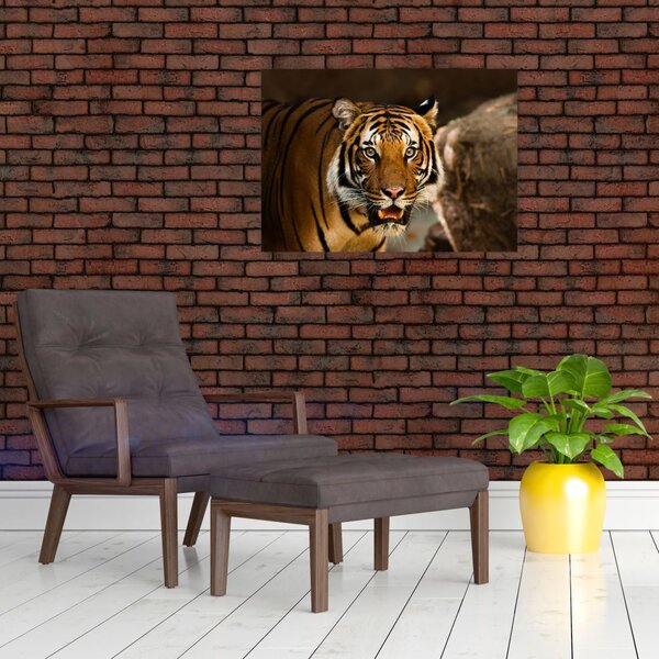 Slika tigra (70x50 cm)