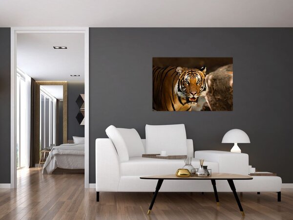 Slika tigra (90x60 cm)