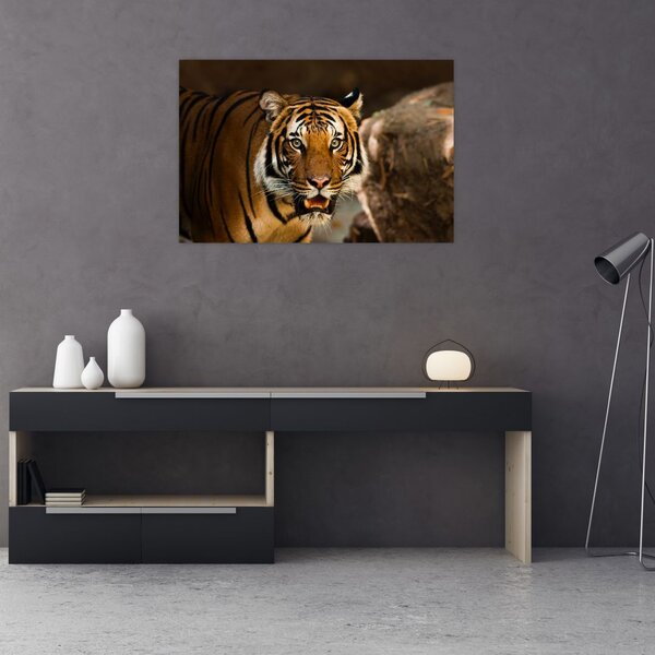 Slika tigra (90x60 cm)