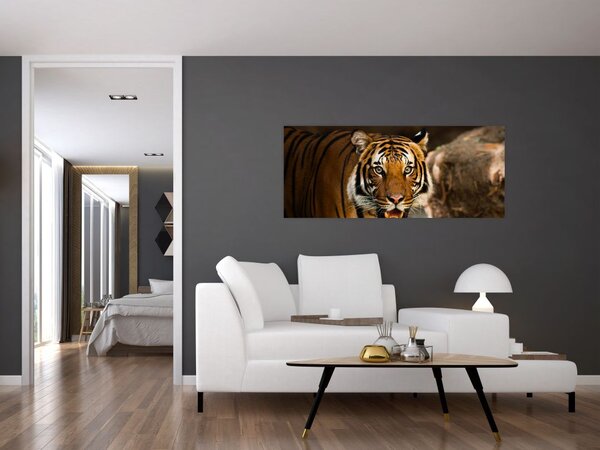 Slika tigra (120x50 cm)