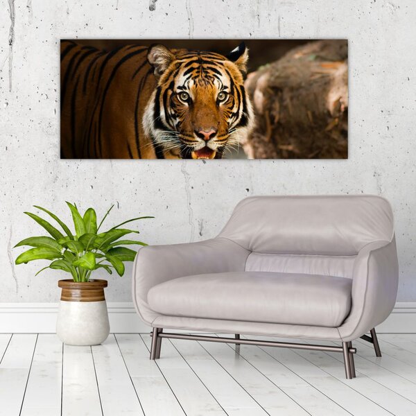 Slika tigra (120x50 cm)