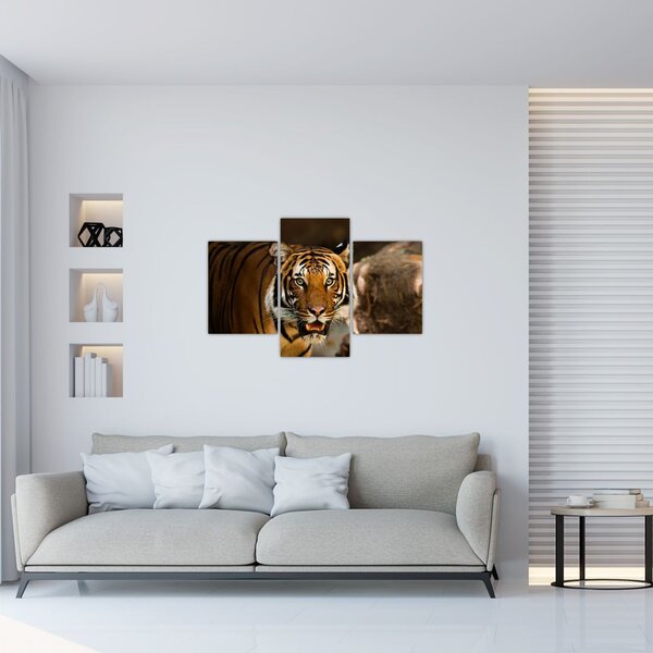 Slika tigra (90x60 cm)