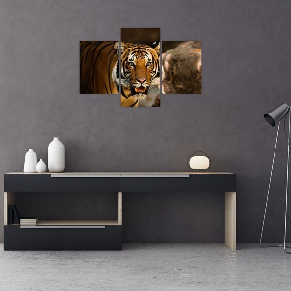 Slika tigra (90x60 cm)