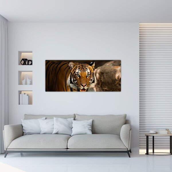 Slika tigra (120x50 cm)