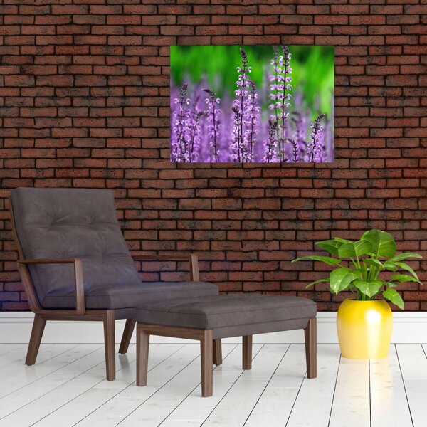 Slika ljubičastog livadskog bilja (70x50 cm)