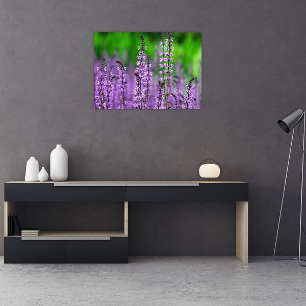 Slika ljubičastog livadskog bilja (70x50 cm)