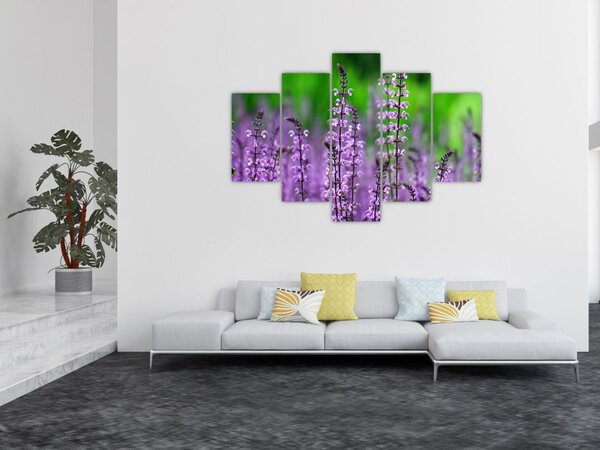 Slika ljubičastog livadskog bilja (150x105 cm)