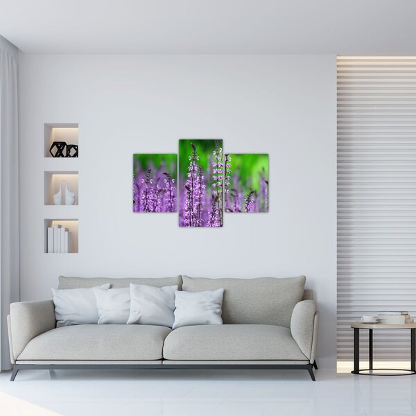 Slika ljubičastog livadskog bilja (90x60 cm)