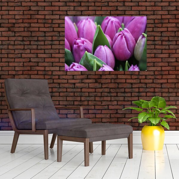 Slika - cvijeće tulipana (90x60 cm)