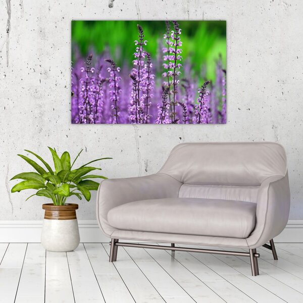 Slika ljubičastog livadskog bilja (90x60 cm)