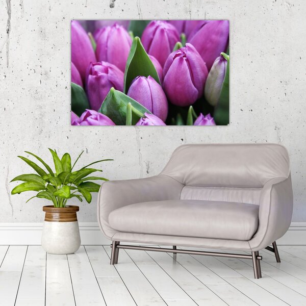 Slika - cvijeće tulipana (90x60 cm)