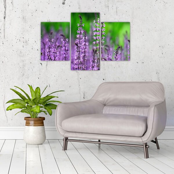 Slika ljubičastog livadskog bilja (90x60 cm)