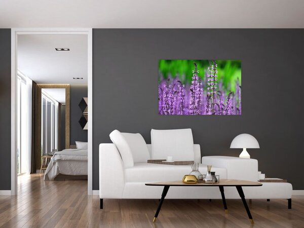Slika ljubičastog livadskog bilja (90x60 cm)