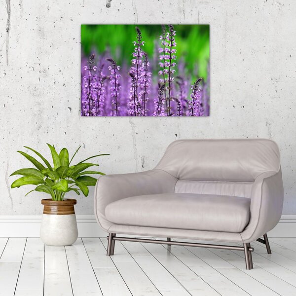 Slika ljubičastog livadskog bilja (70x50 cm)