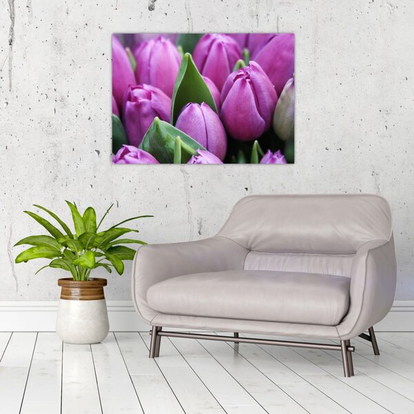 Slika - cvijeće tulipana (70x50 cm)