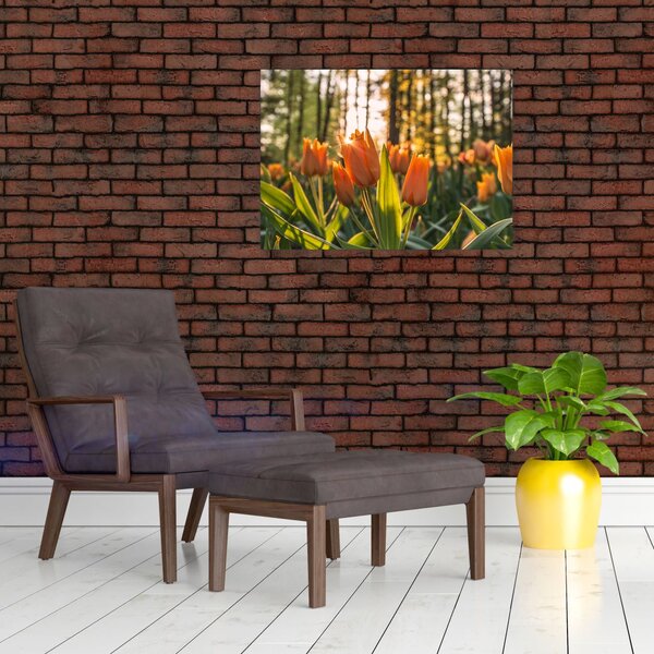 Slika - cvijeće tulipana (70x50 cm)