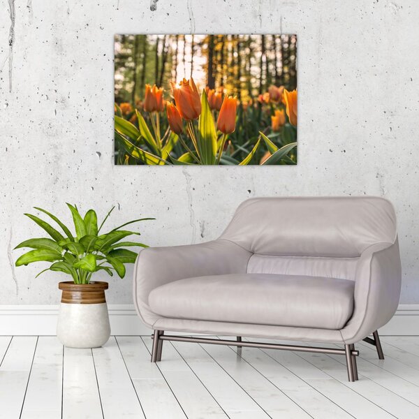 Slika - cvijeće tulipana (70x50 cm)