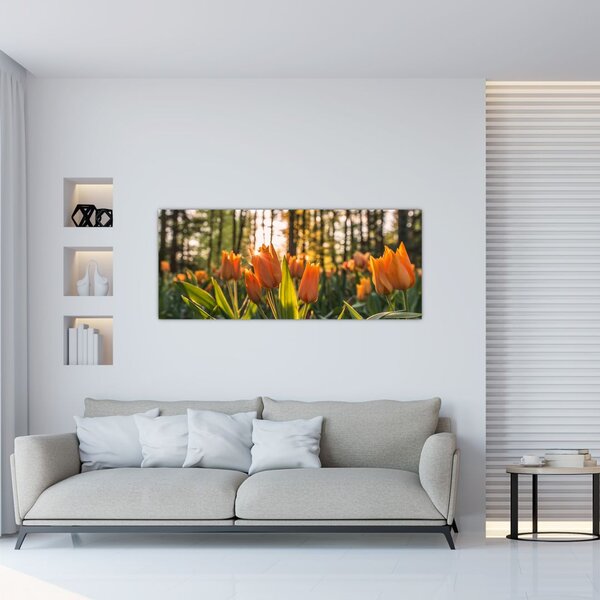 Slika - cvijeće tulipana (120x50 cm)