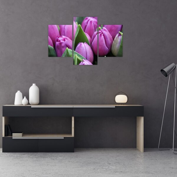 Slika - cvijeće tulipana (90x60 cm)