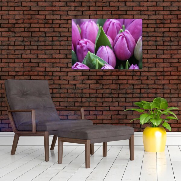 Slika - cvijeće tulipana (70x50 cm)
