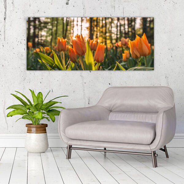 Slika - cvijeće tulipana (120x50 cm)