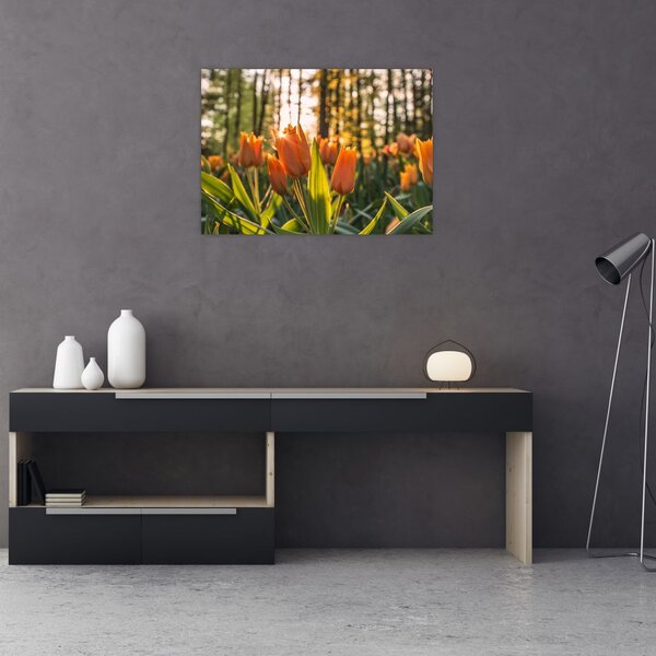 Slika - cvijeće tulipana (70x50 cm)
