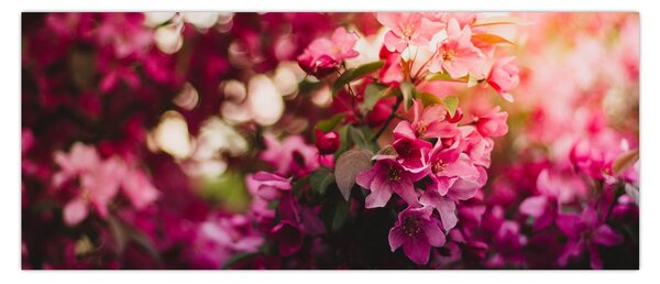 Slika cvijetova procvalog grma (120x50 cm)