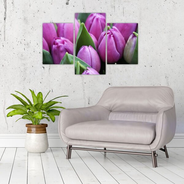 Slika - cvijeće tulipana (90x60 cm)