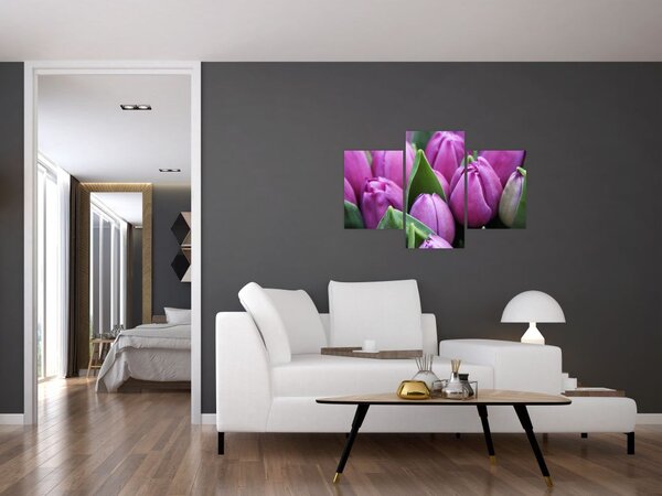 Slika - cvijeće tulipana (90x60 cm)