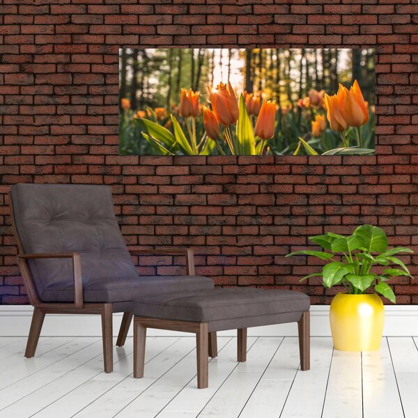 Slika - cvijeće tulipana (120x50 cm)