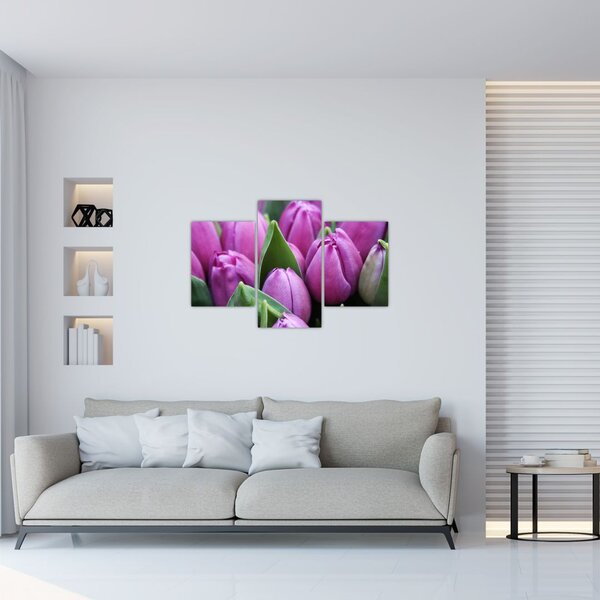 Slika - cvijeće tulipana (90x60 cm)