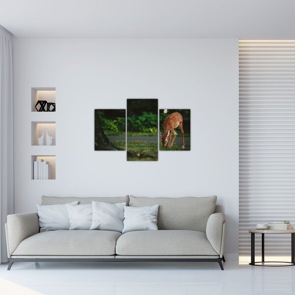 Slika malog laneta (90x60 cm)