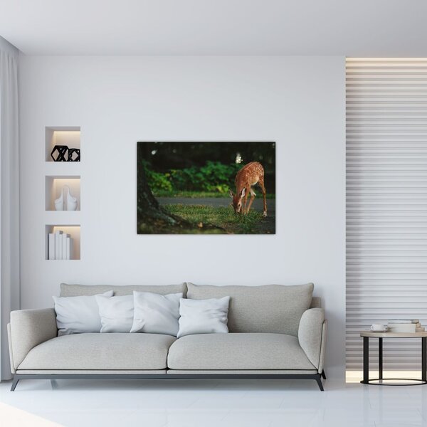 Slika malog laneta (90x60 cm)