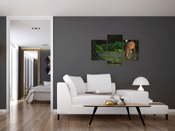 Slika malog laneta (90x60 cm)
